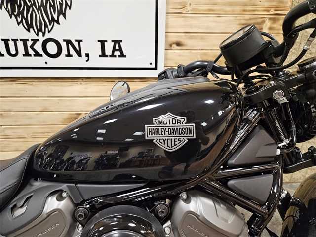2023 Harley-Davidson Sportster Nightster at Iron Hill Harley-Davidson