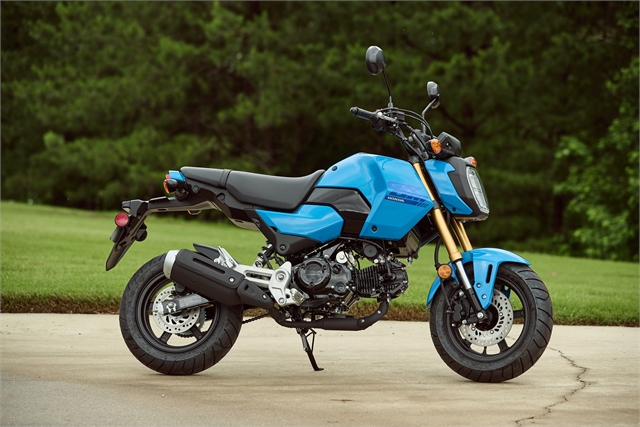 2025 Honda Grom Base at Kent Motorsports, New Braunfels, TX 78130