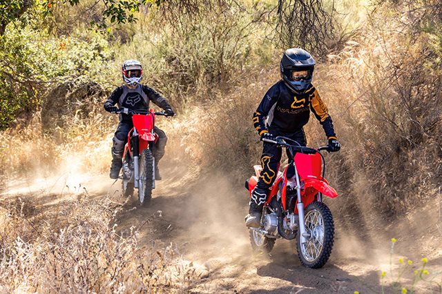 2025 Honda CRF 110F at ATVs and More