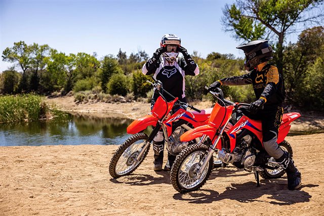 2025 Honda CRF 110F at ATVs and More