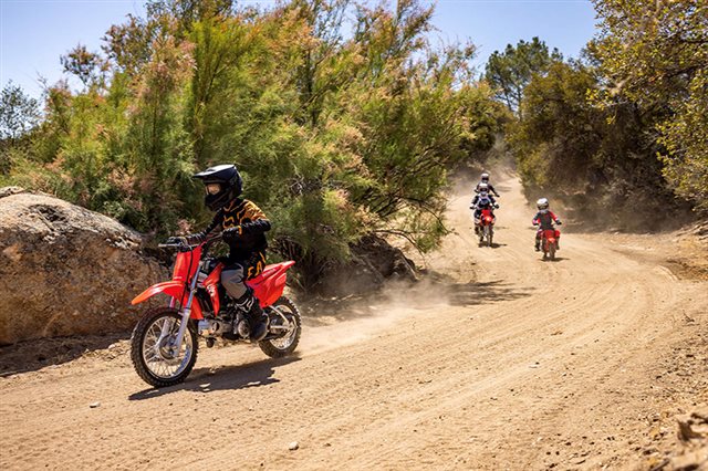 2025 Honda CRF 110F at ATVs and More