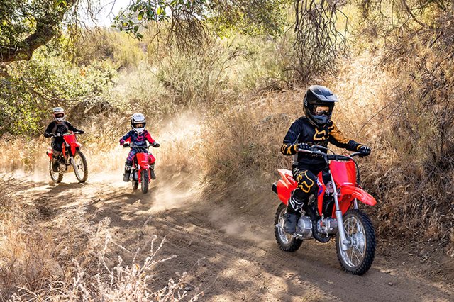 2025 Honda CRF 110F at ATVs and More