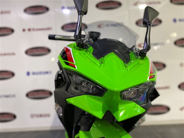 2024 Kawasaki Ninja 500 Base at Cycle Max