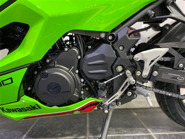 2024 Kawasaki Ninja 500 Base at Cycle Max