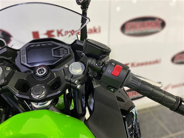 2024 Kawasaki Ninja 500 Base at Cycle Max