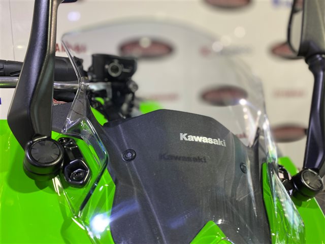 2024 Kawasaki Ninja 500 Base at Cycle Max