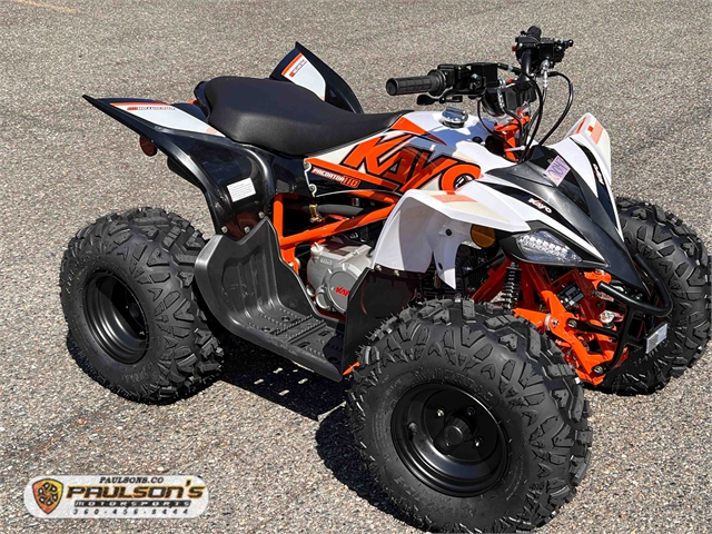 2024 Kayo Predator 110 at Paulson's Motorsports