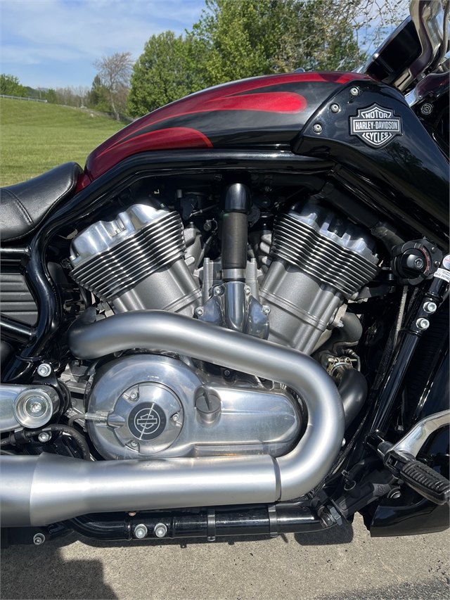2016 Harley-Davidson V-Rod V-Rod Muscle at Harley-Davidson of Asheville