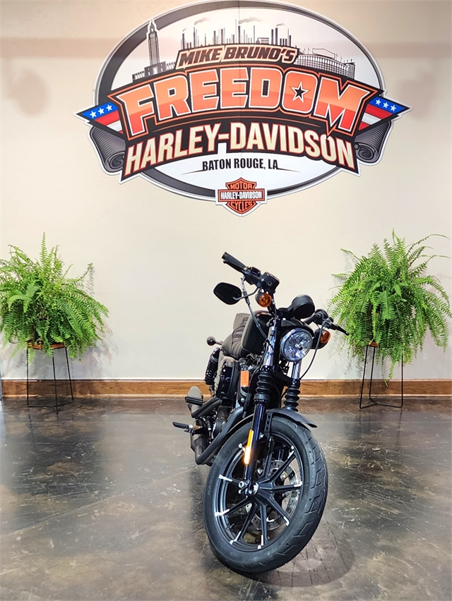 2019 Harley-Davidson Sportster Iron 883 at Mike Bruno's Freedom Harley-Davidson