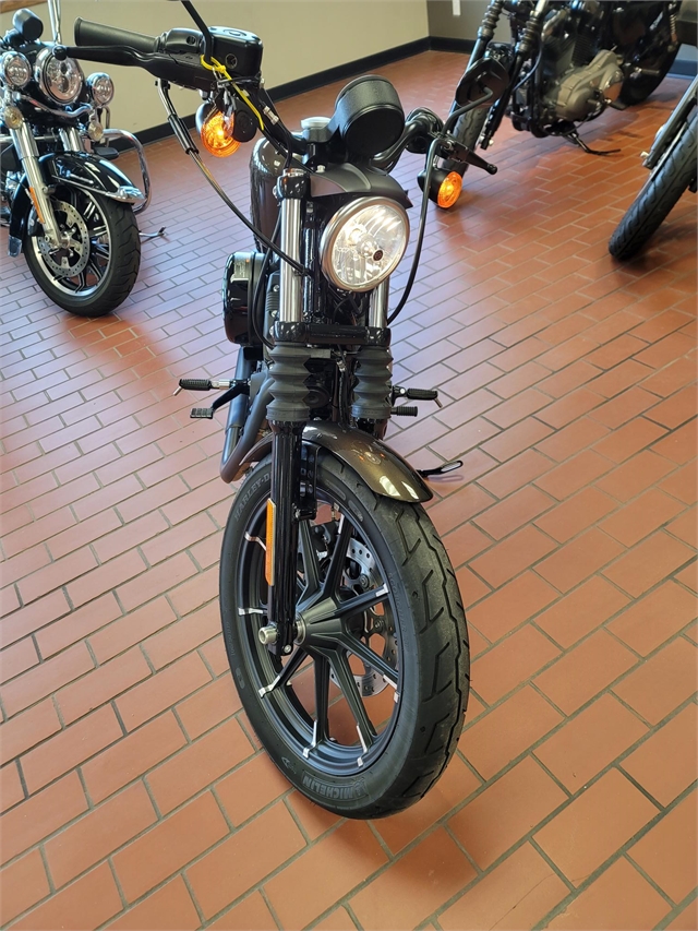 2020 Harley-Davidson Sportster Iron 883 at Rooster's Harley Davidson