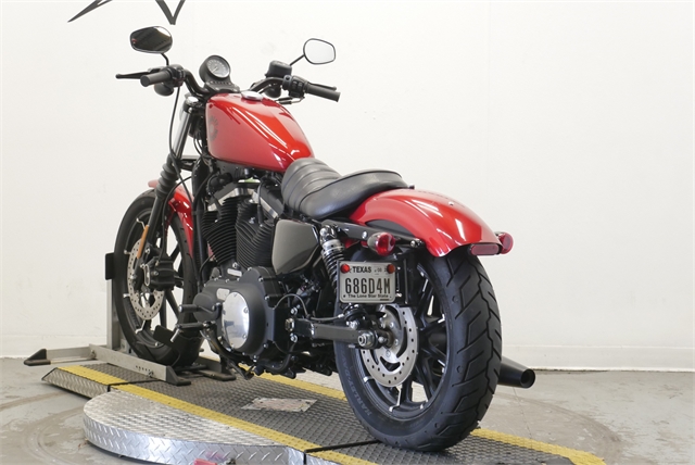 2019 Harley-Davidson Sportster Iron 883 at Texoma Harley-Davidson