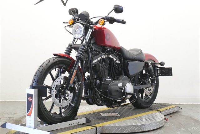 2019 Harley-Davidson Sportster Iron 883 at Texoma Harley-Davidson