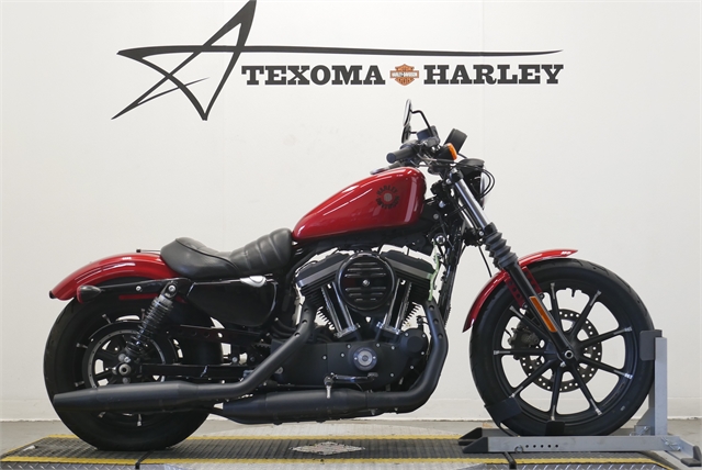 2019 Harley-Davidson Sportster Iron 883 at Texoma Harley-Davidson