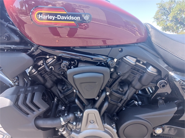 2024 Harley-Davidson Sportster Nightster Special at Buddy Stubbs Arizona Harley-Davidson