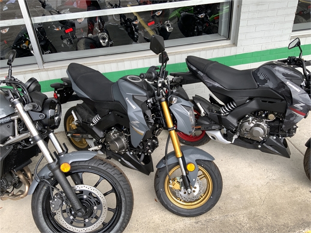 2024 Kawasaki Z125 PRO Base at Jacksonville Powersports, Jacksonville, FL 32225