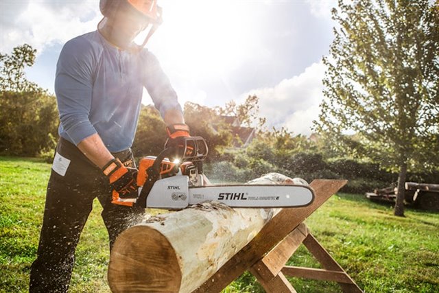 2024 STIHL MS250/18 at McKinney Outdoor Superstore