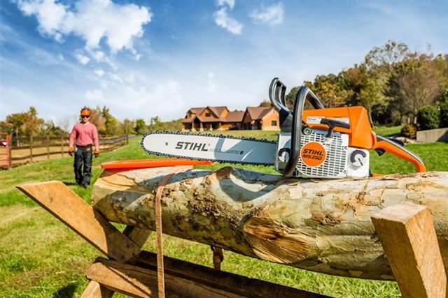 2024 STIHL MS250/18 at McKinney Outdoor Superstore