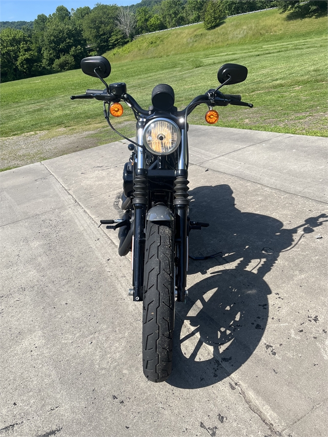 2022 Harley-Davidson Sportster Iron 883 at Harley-Davidson of Asheville