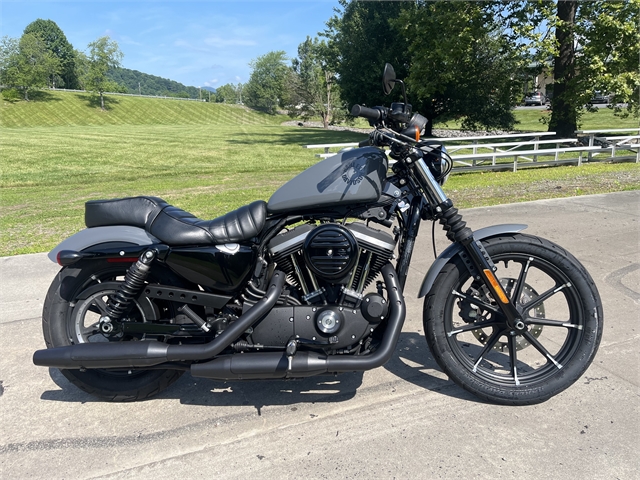 2022 Harley-Davidson Sportster Iron 883 at Harley-Davidson of Asheville