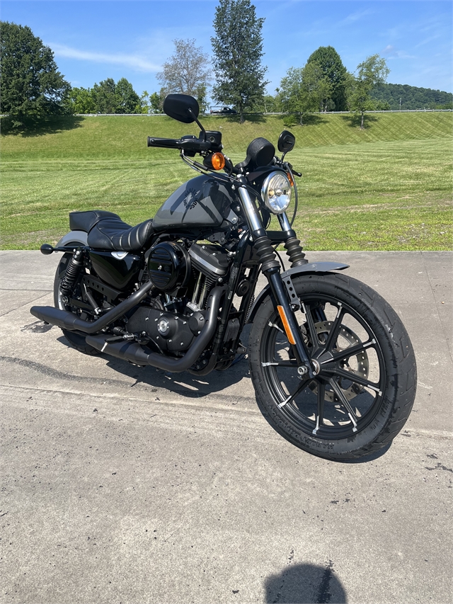 2022 Harley-Davidson Sportster Iron 883 at Harley-Davidson of Asheville