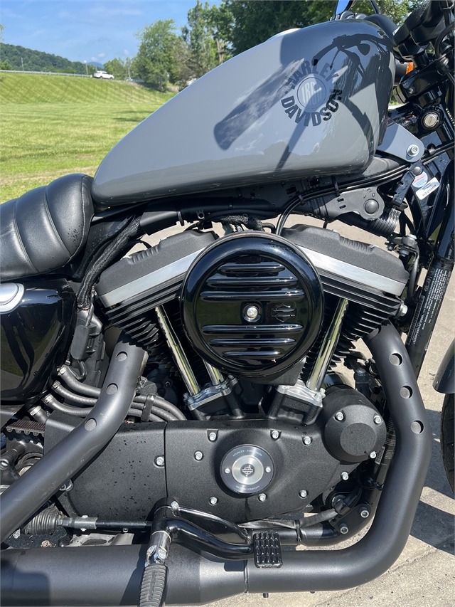 2022 Harley-Davidson Sportster Iron 883 at Harley-Davidson of Asheville