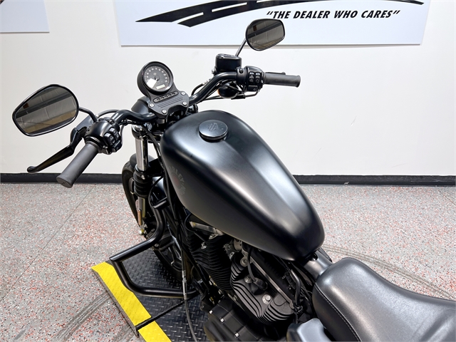 2020 Harley-Davidson Sportster Iron 883 at Harley-Davidson of Madison