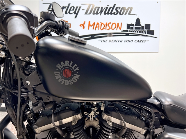 2020 Harley-Davidson Sportster Iron 883 at Harley-Davidson of Madison