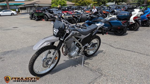 2023 Kawasaki KLX 230S at Paulson's Motorsports