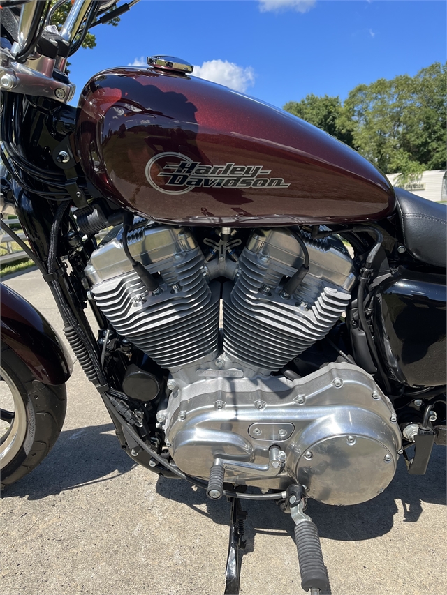 2019 Harley-Davidson Sportster SuperLow at Harley-Davidson of Asheville