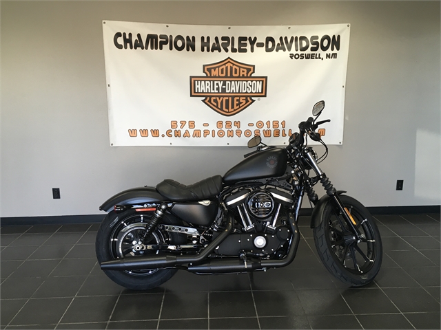 2022 Harley-Davidson Sportster Iron 883 at Champion Harley-Davidson