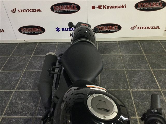 2024 Honda Rebel 300 Base at Cycle Max