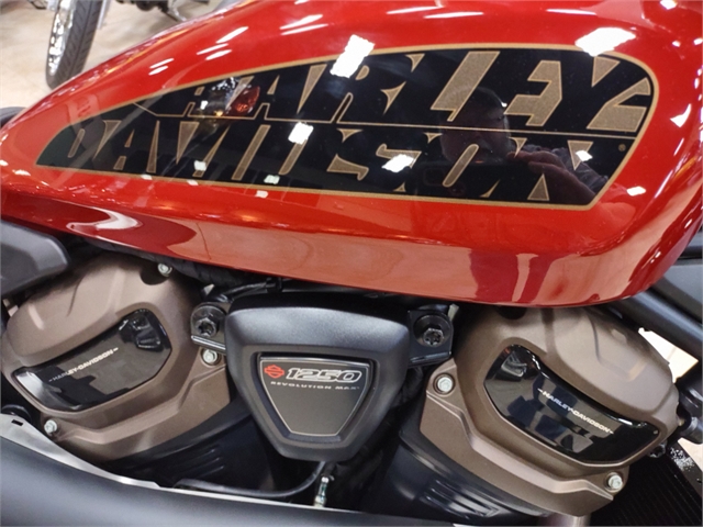 2024 Harley-Davidson Sportster at M & S Harley-Davidson