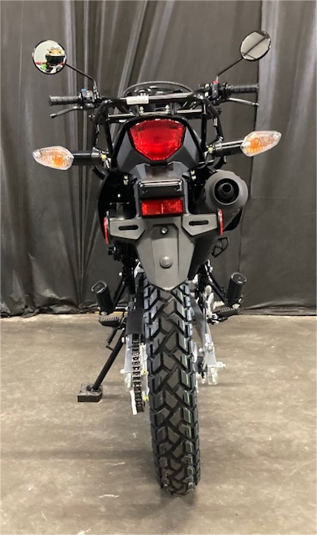 2024 Honda XR 150L at Powersports St. Augustine