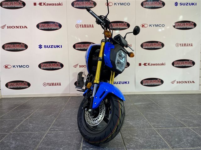 2025 Honda Grom SP at Cycle Max