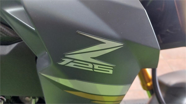 2024 Kawasaki Z125 PRO Base at Santa Fe Motor Sports