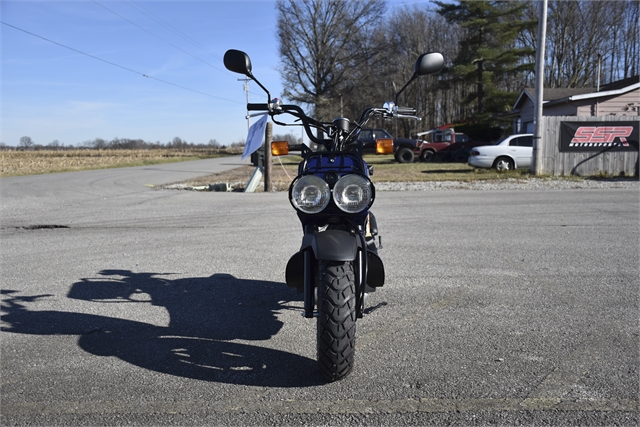 2022 Honda Ruckus Base at Thornton's Motorcycle - Versailles, IN