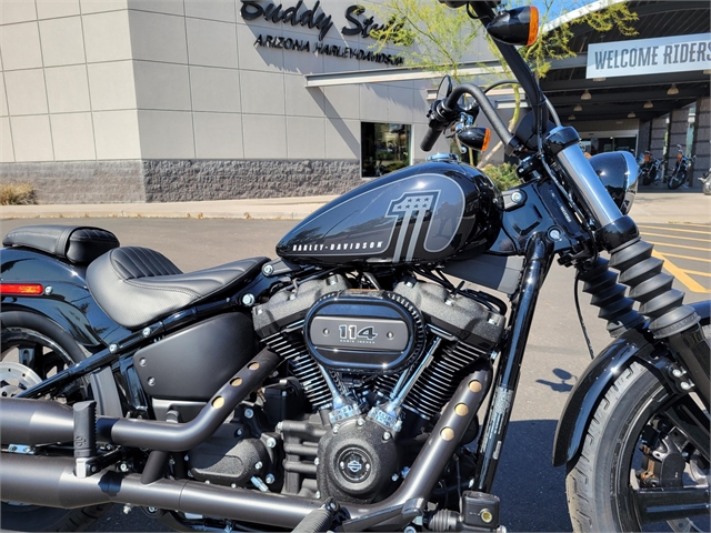 2024 Harley-Davidson Softail Street Bob 114 at Buddy Stubbs Arizona Harley-Davidson