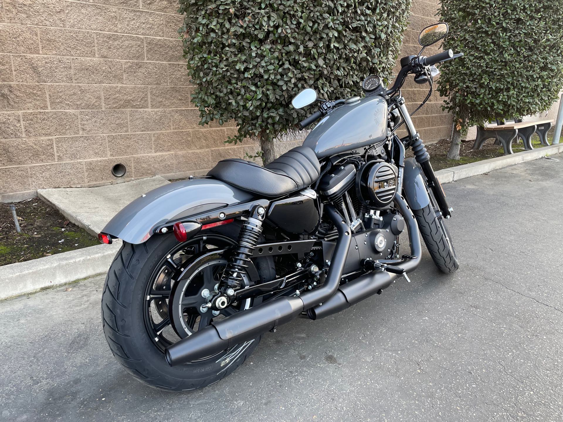 2022 Harley-Davidson Sportster Iron 883 at Fresno Harley-Davidson
