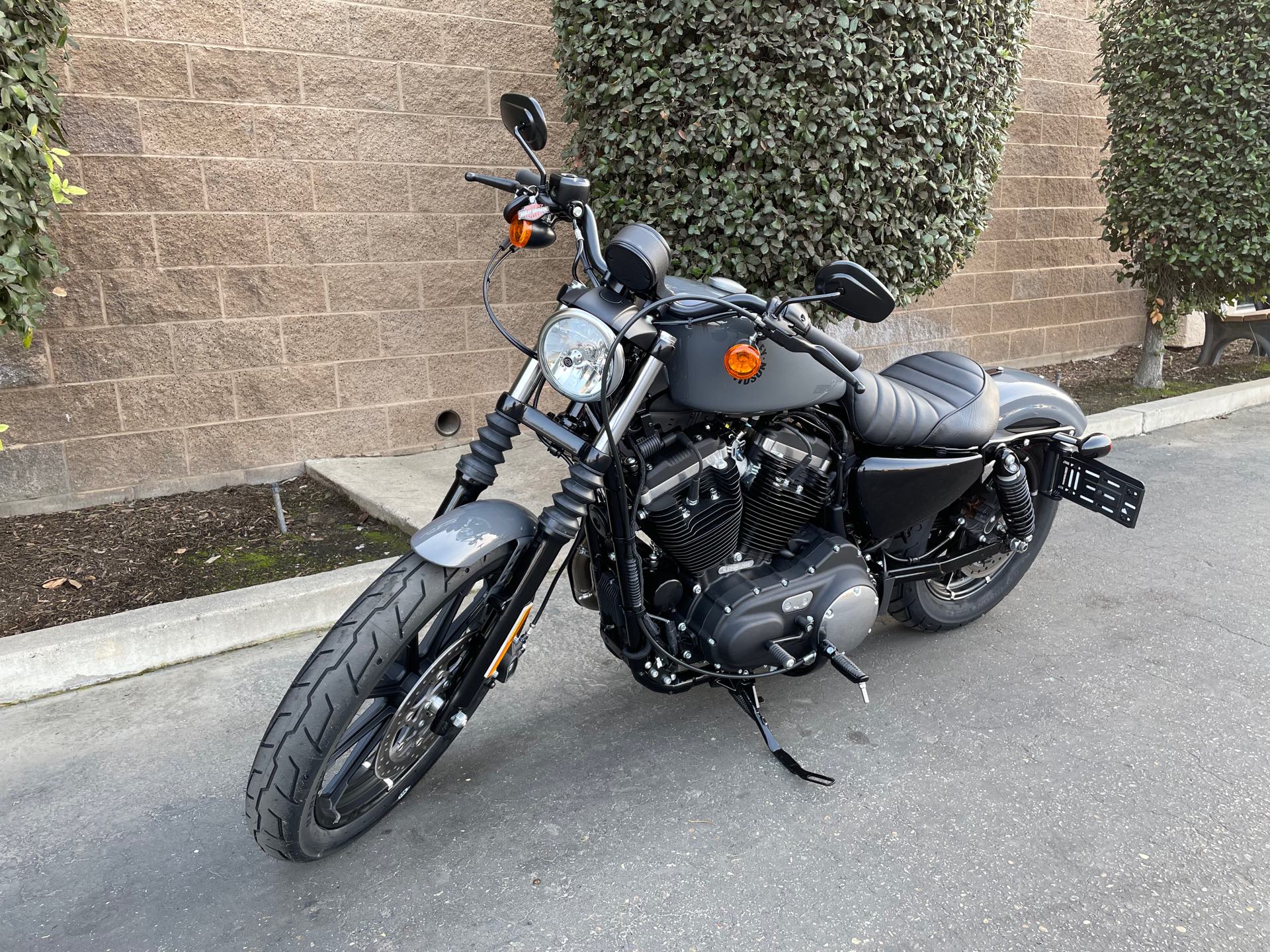 2022 Harley-Davidson Sportster Iron 883 at Fresno Harley-Davidson