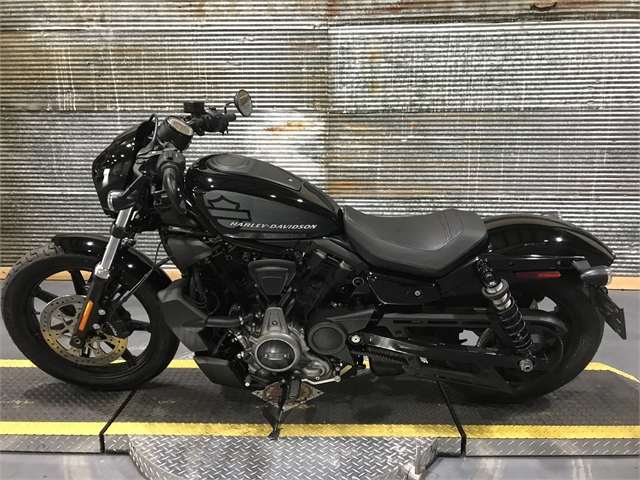 2022 Harley-Davidson Sportster Nightster at Texarkana Harley-Davidson