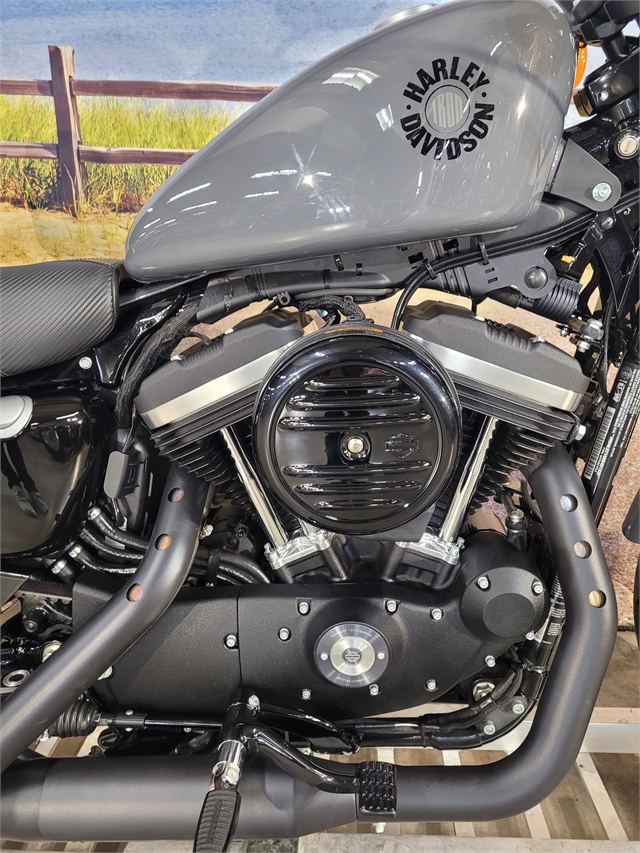 2022 Harley-Davidson XL883N at Hot Rod Harley-Davidson