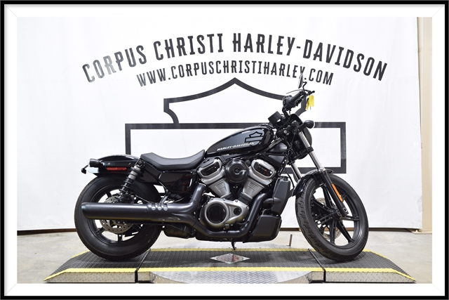 2022 Harley-Davidson Sportster Nightster at Corpus Christi Harley-Davidson