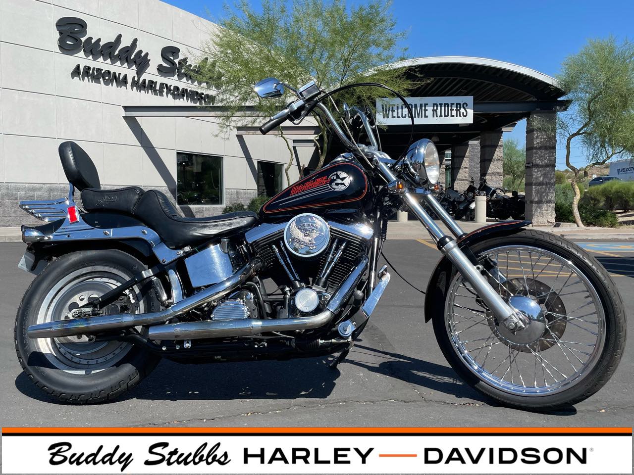 1994 Harley-Davidson FXSTC at Buddy Stubbs Arizona Harley-Davidson