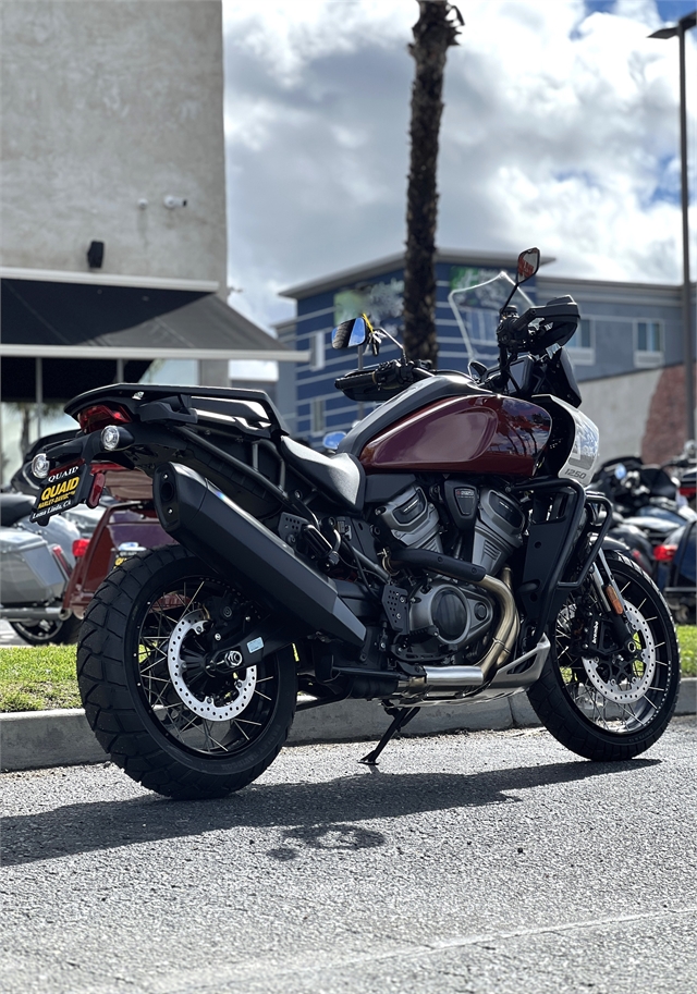 2024 Harley-Davidson Pan America 1250 Special at Quaid Harley-Davidson, Loma Linda, CA 92354