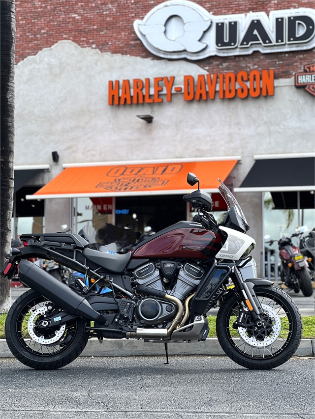 2024 Harley-Davidson Pan America 1250 Special at Quaid Harley-Davidson, Loma Linda, CA 92354