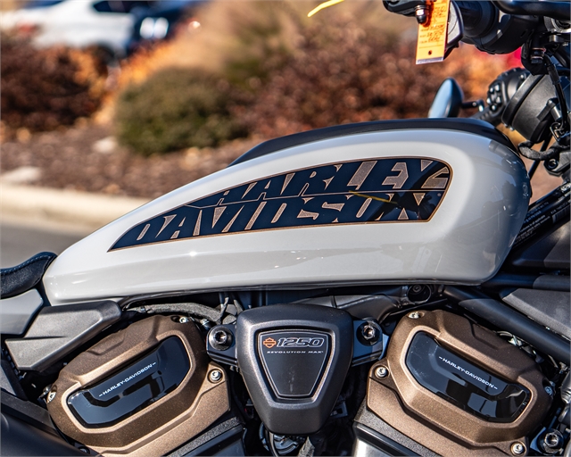 2024 Harley-Davidson Sportster at Speedway Harley-Davidson