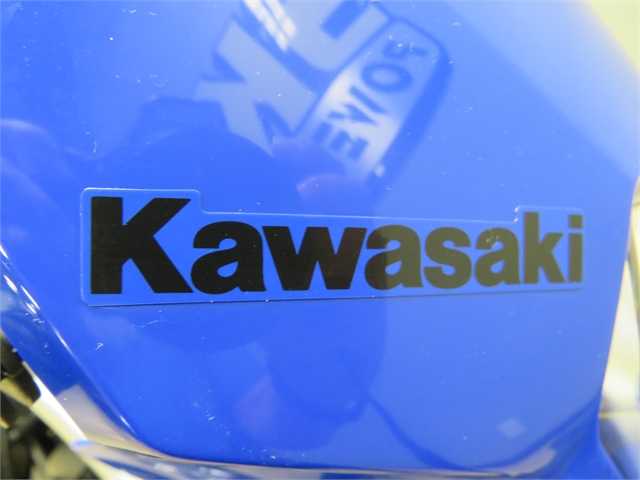 2023 Kawasaki KLX 230SM at Sky Powersports Port Richey