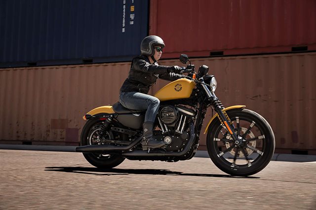 2019 Harley-Davidson Sportster Iron 883 at Lucky Penny Cycles