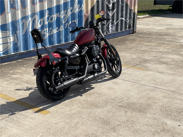 2019 Harley-Davidson Sportster Iron 883 at Gruene Harley-Davidson