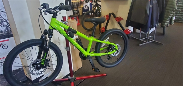 Norco storm 4.2 sales kid's bike 2020